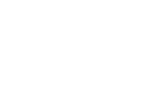 TS logo